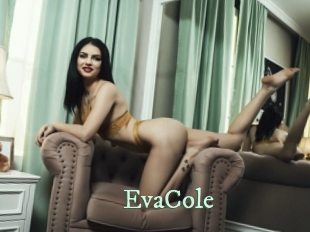 EvaCole