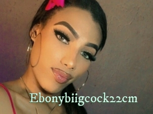 Ebonybiigcock22cm