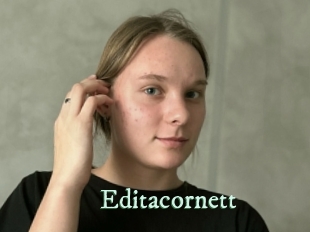 editacornett Top Blog X