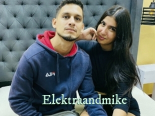 Elektraandmike