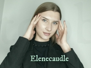 Elenecaudle