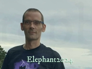 Elephant2024