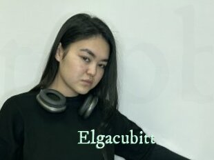 Elgacubitt