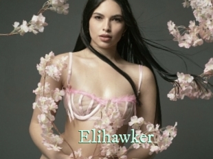 Elihawker