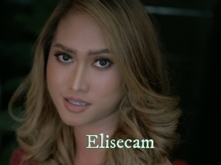 Elisecam