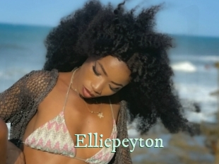 elliepeyton Top Blog X