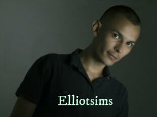 elliotsims Top Blog X
