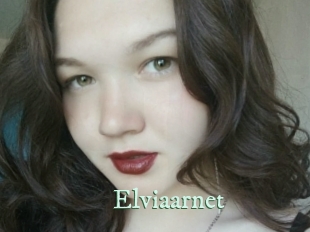 Elviaarnet