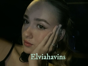 Elviahavins