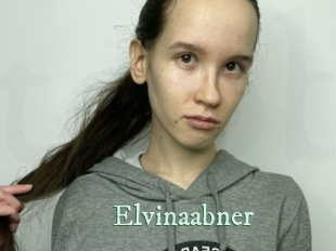 Elvinaabner