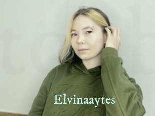 Elvinaaytes