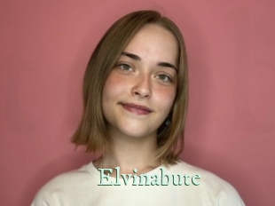 Elvinabute