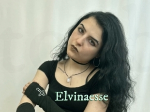 Elvinaesse