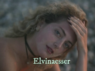 Elvinaesser