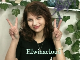 Elwinacloud