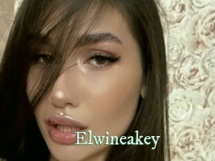 Elwineakey