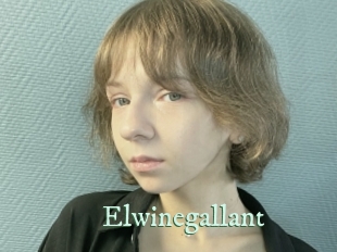 Elwinegallant
