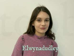 Elwynadudley