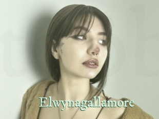 Elwynagallamore