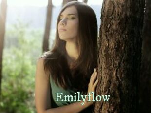 Emilyflow