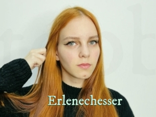 Erlenechesser