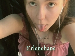 Erlenehane