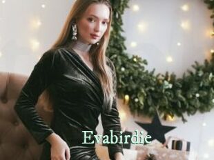 Evabirdie