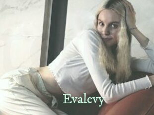 Evalevy