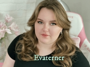 evaterner Top Blog X
