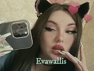 Evawallis