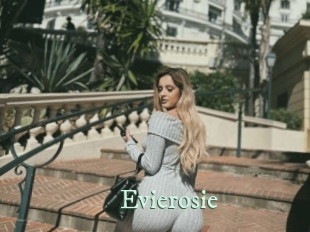 Evierosie