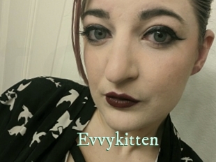 Evvykitten