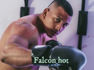 Falcon_hot