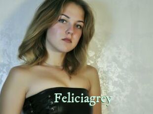 Feliciagrey