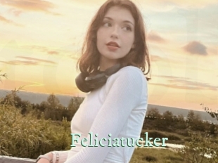 feliciatucker Top Blog X