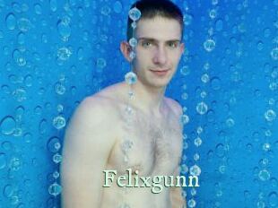Felixgunn