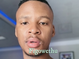 Figowethu