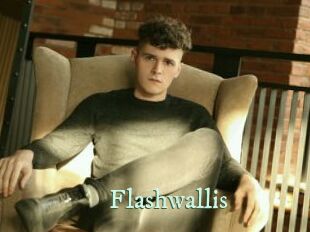 Flashwallis