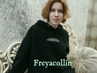 Freyacollin