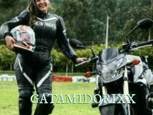 GATAMIDORIXX