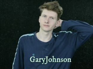 GaryJohnson Top Blog X