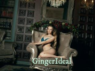 GingerIdeal Top Blog X