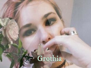 Grothia