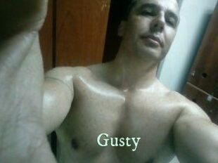 Gusty Top Blog X