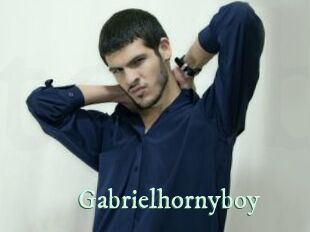 Gabrielhornyboy