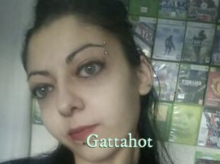 Gattahot