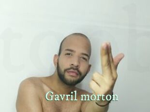 Gavril_morton