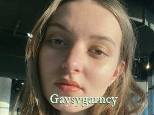 Gaysygarney