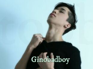 Ginobadboy