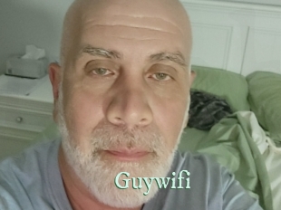 guywifi Top Blog X
